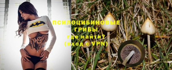 apvp Медвежьегорск