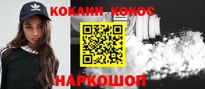 гашик Дубна