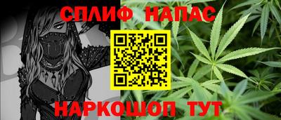 гашик Дубна
