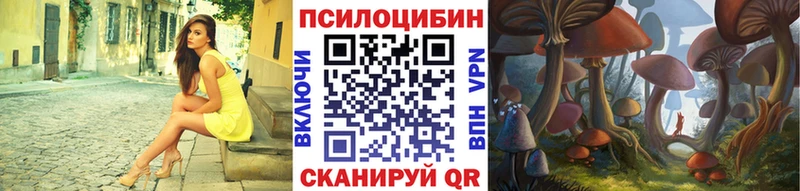 Псилоцибиновые грибы GOLDEN TEACHER Севастополь