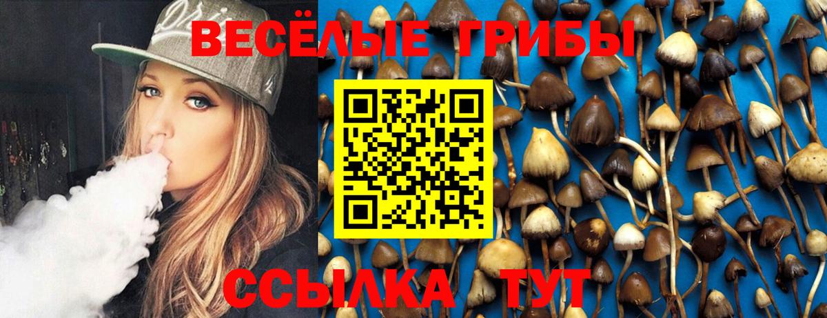 Галлюциногенные грибы мухоморы  Севастополь 