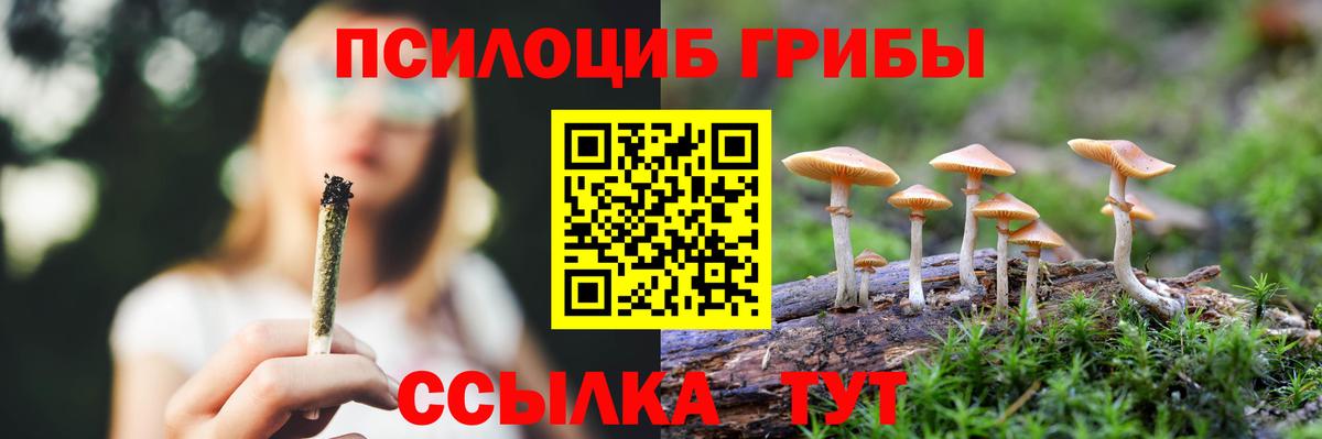 Псилоцибиновые грибы Psilocybe Севастополь